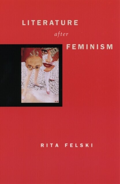 Literature after Feminism main product photo