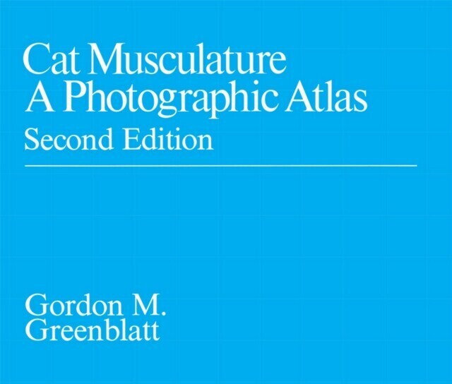 Cat Musculature main product photo