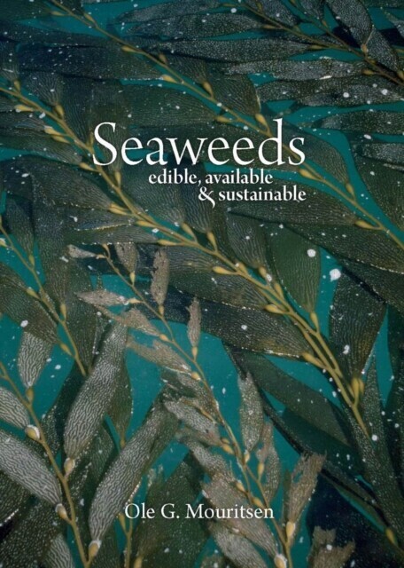 Seaweeds main product photo