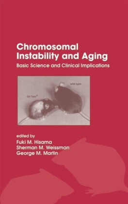 Chromosomal Instability and Aging