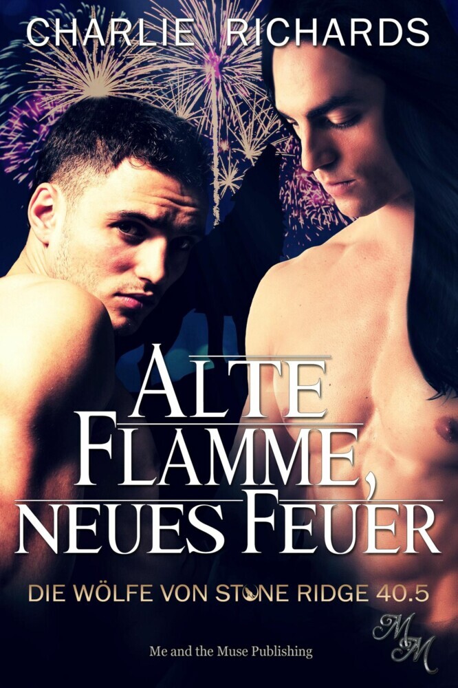 Alte Flamme, neues Feuer main product photo
