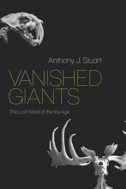 Vanished Giants main product photo