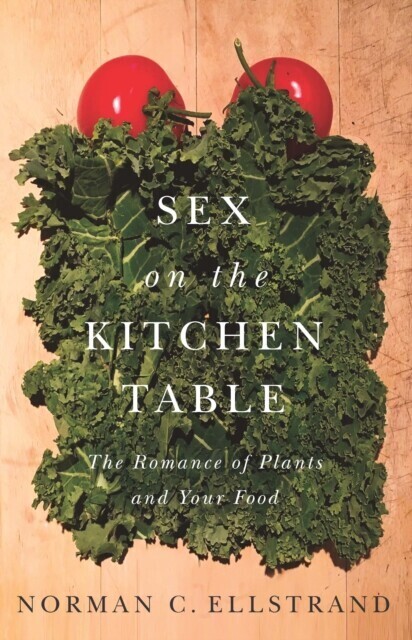 Sex on the Kitchen Table main product photo