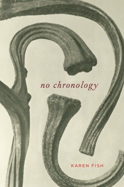 No Chronology main product photo