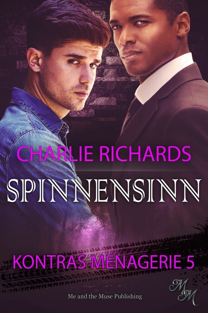 Spinnensinn main product photo