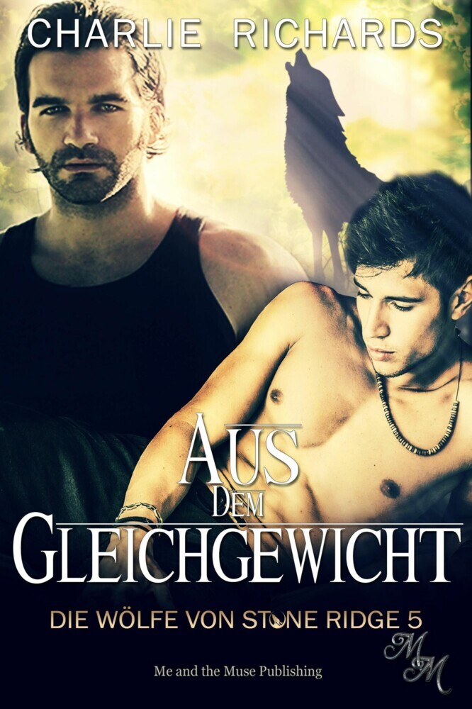 Aus dem Gleichgewicht main product photo