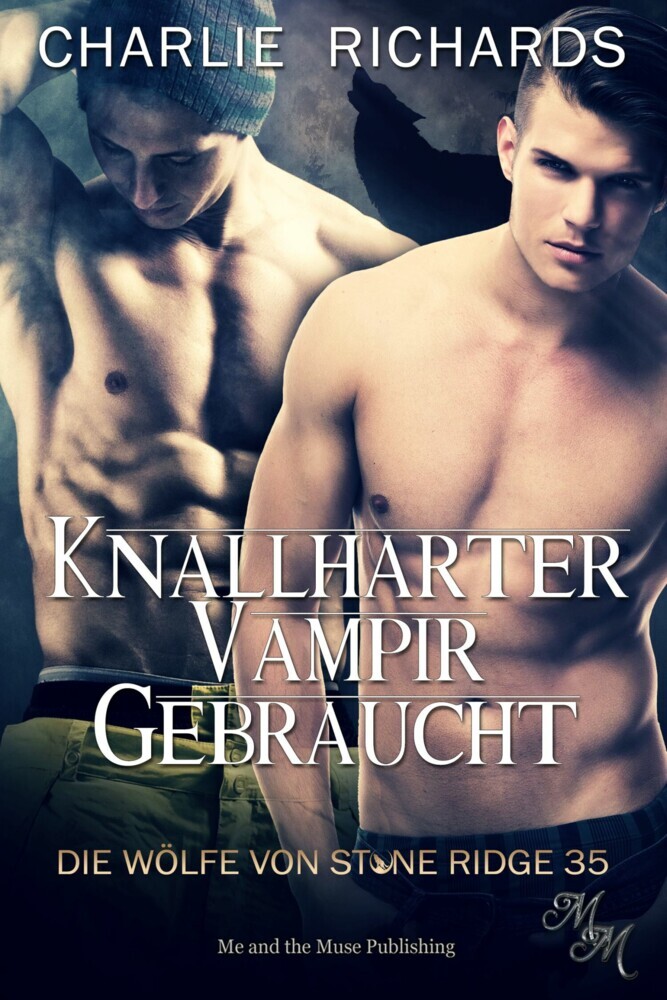 Knallharter Vampir gebraucht main product photo