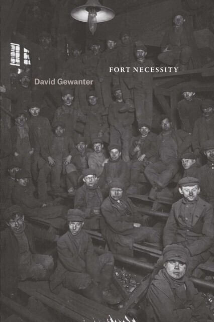 Fort Necessity main product photo