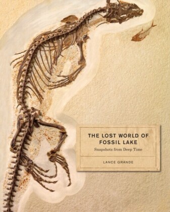Lost World of Fossil Lake