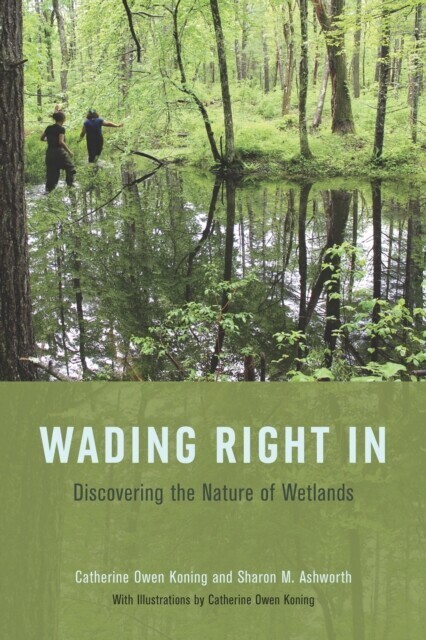 Wading Right In main product photo
