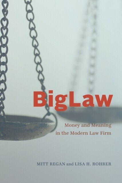 BigLaw main product photo