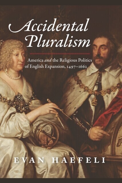 Accidental Pluralism main product photo