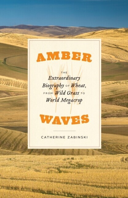 Amber Waves main product photo