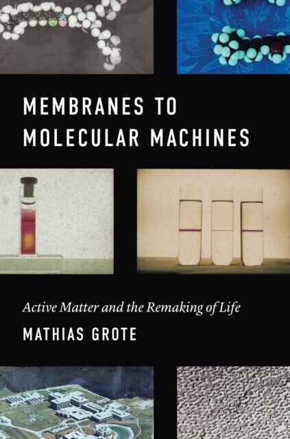 Membranes to Molecular Machines main product photo