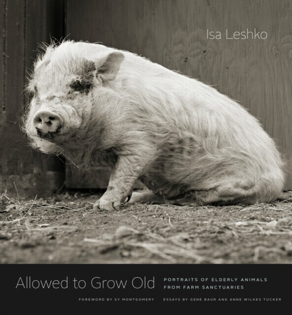 Allowed to Grow Old main product photo