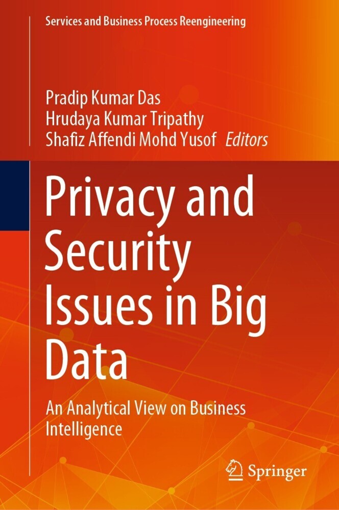 Privacy and Security Issues in Big Data main product photo