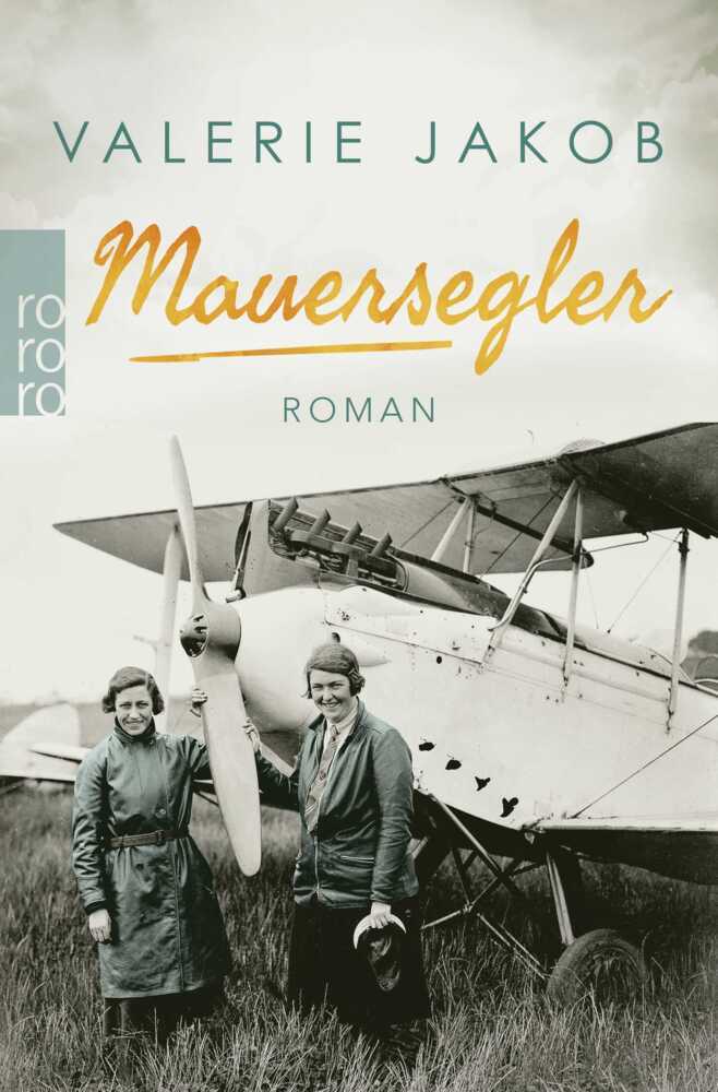 Mauersegler main product photo