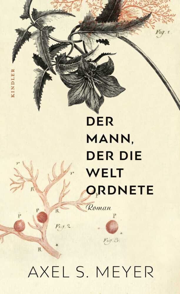Der Mann, der die Welt ordnete main product photo