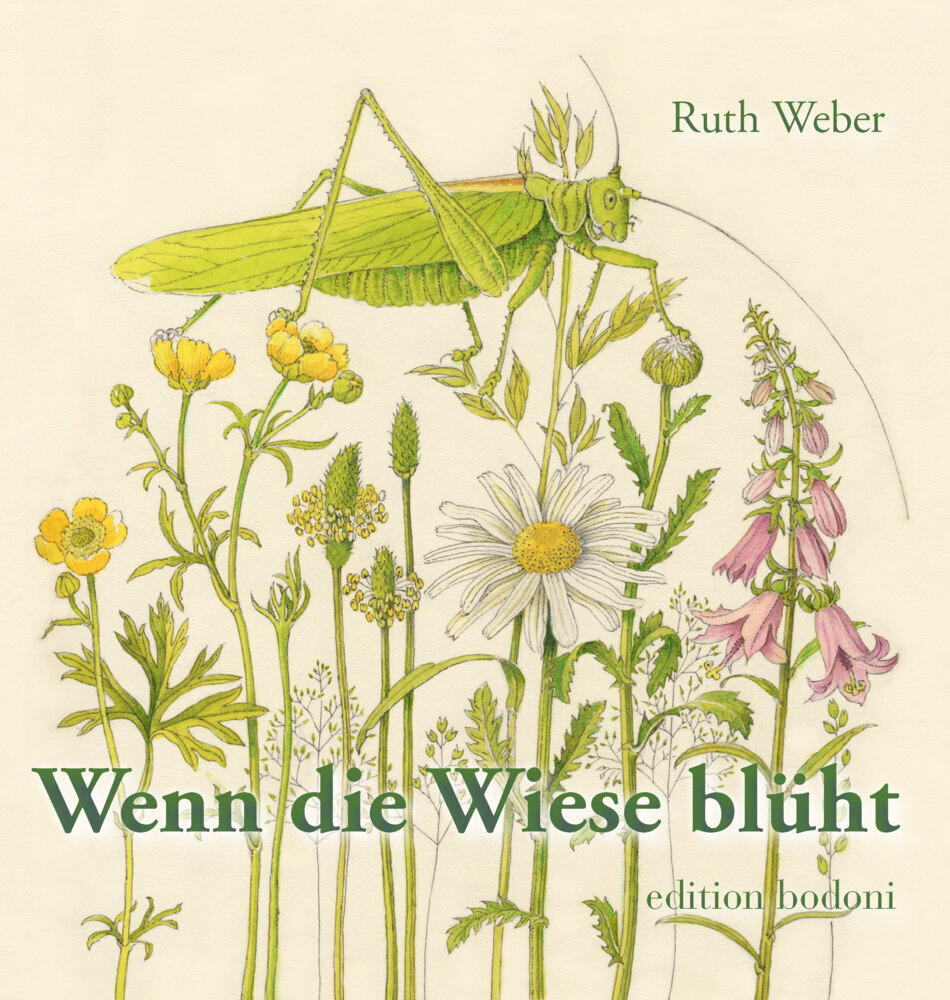 Wenn die Wiese blüht main product photo