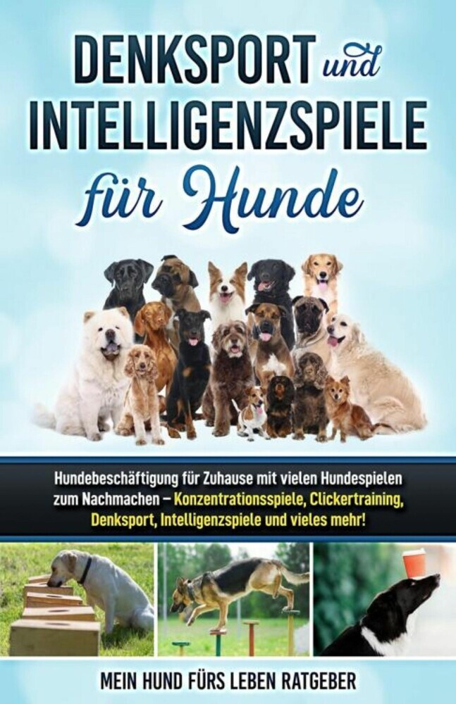 Denksport und Intelligenzspiele für Hunde main product photo