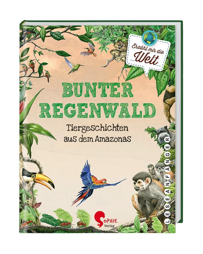 Bunter Regenwald main product photo