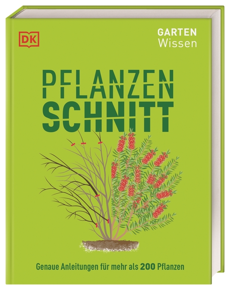 Gartenwissen Pflanzenschnitt main product photo