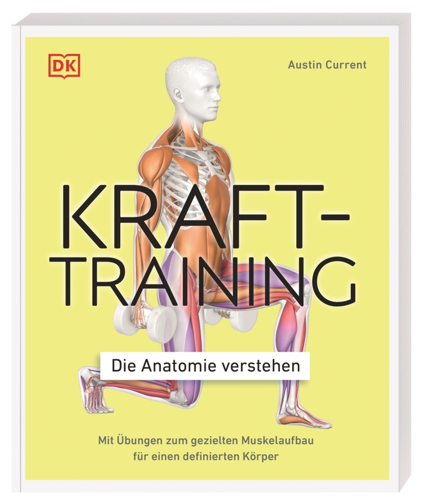 Krafttraining - Die Anatomie verstehen main product photo