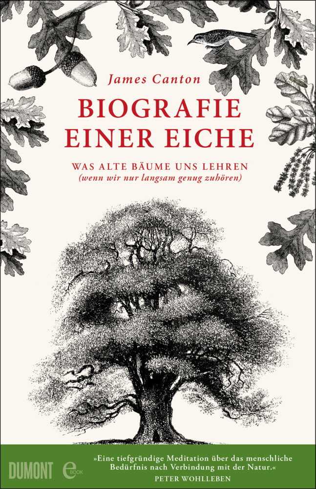 Biografie einer Eiche main product photo
