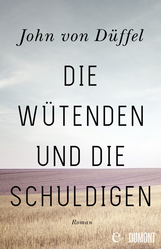 Die Wütenden und die Schuldigen main product photo