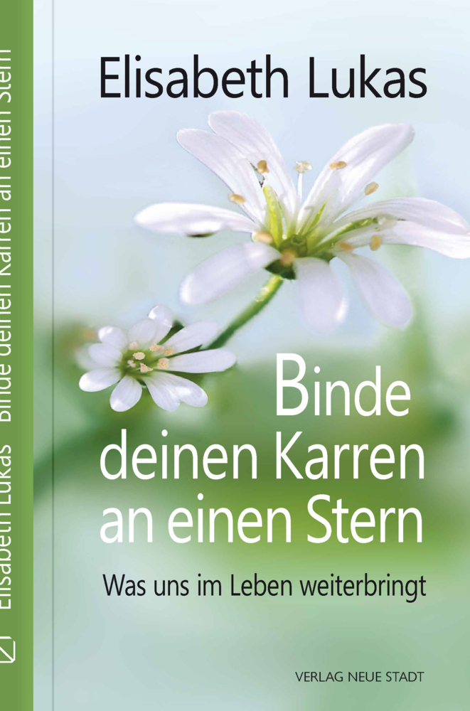 Binde deinen Karren an einen Stern main product photo