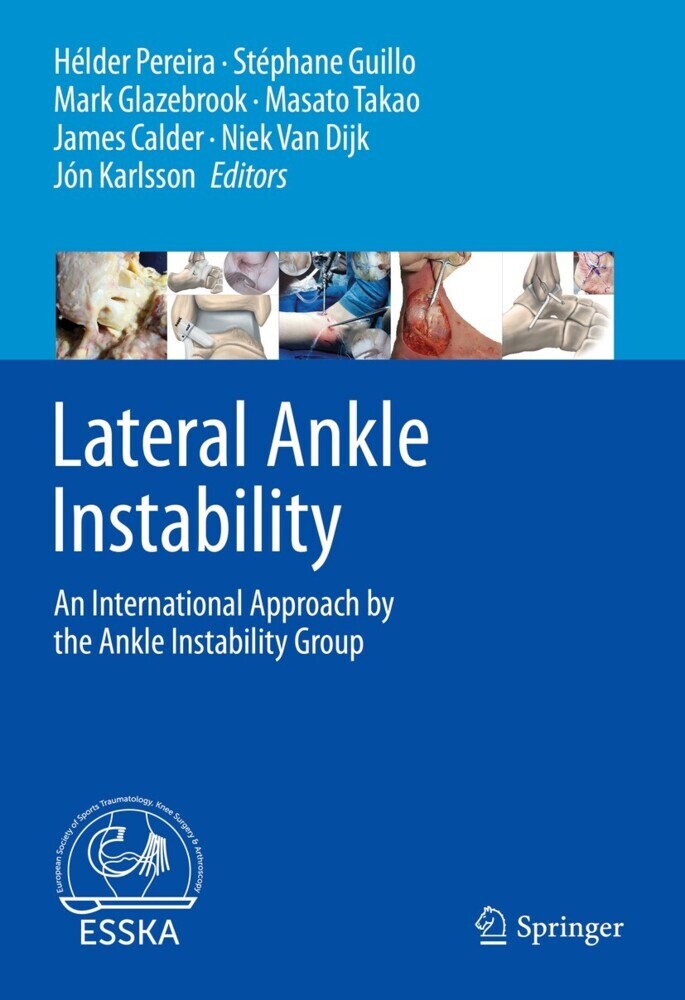 Lateral Ankle Instability main product photo