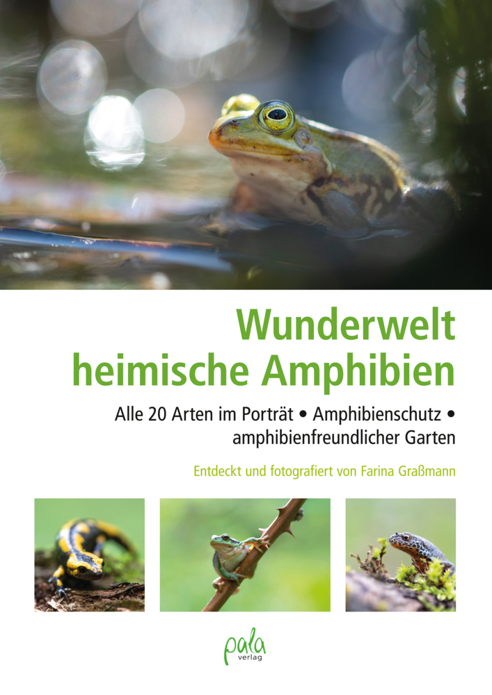 Wunderwelt heimische Amphibien main product photo