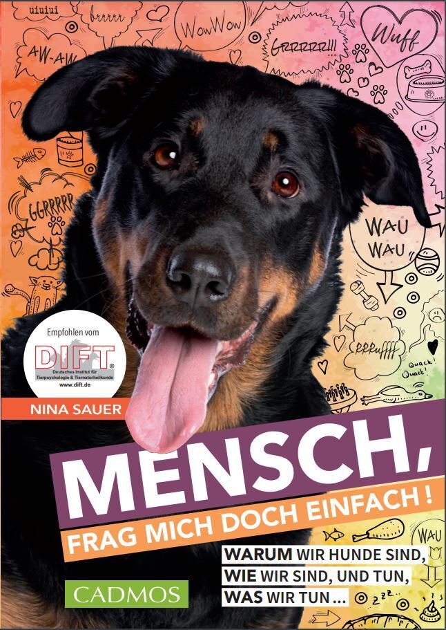 Mensch, frag mich doch einfach main product photo
