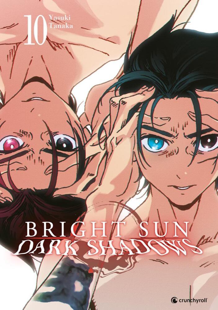 Bright Sun - Dark Shadows - Band 10 main product photo