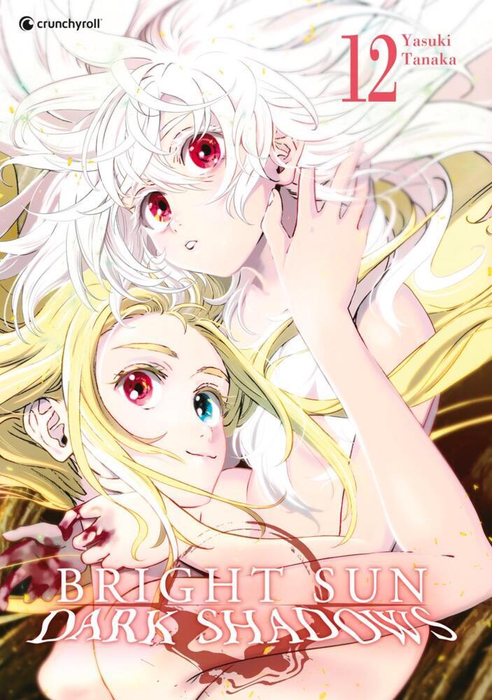Bright Sun - Dark Shadows - Band 12 main product photo