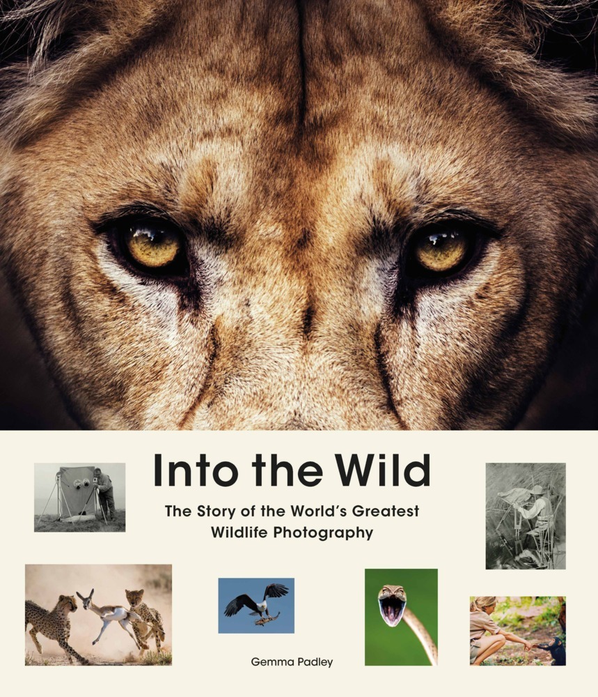 Into the Wild main product photo