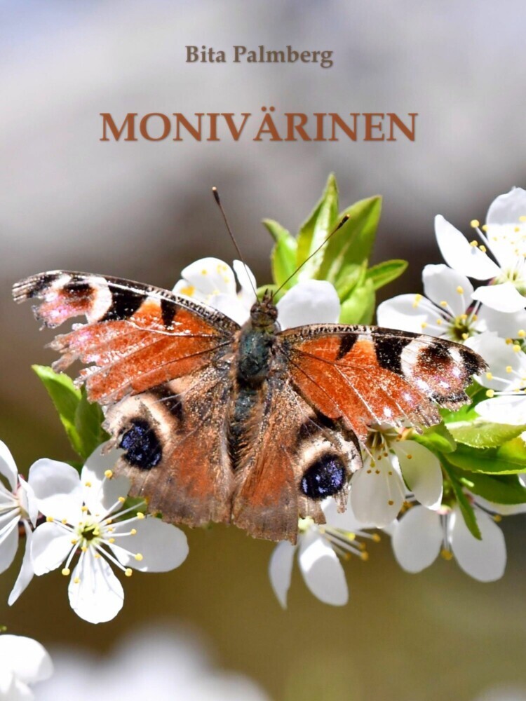 Monivärinen main product photo