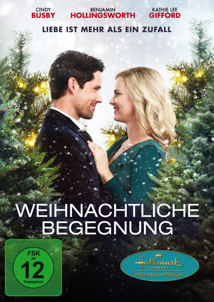 Weihnachtliche Begegnung - Liebe ist mehr als ein Zufall, 1 DVD main product photo
