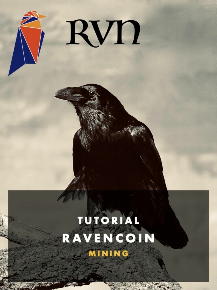RVN Ravencoin Mining main product photo