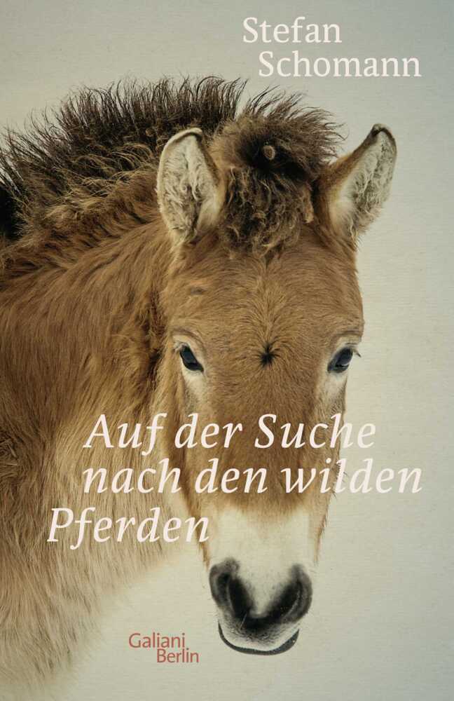 Auf der Suche nach den wilden Pferden main product photo