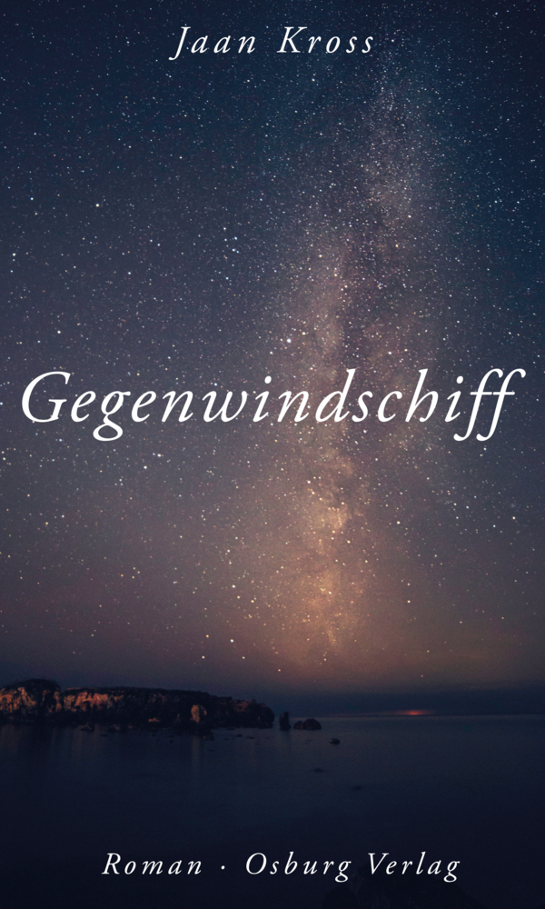 Gegenwindschiff main product photo