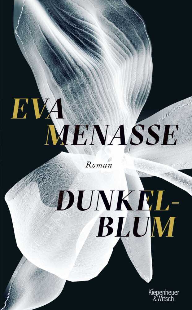 Dunkelblum main product photo