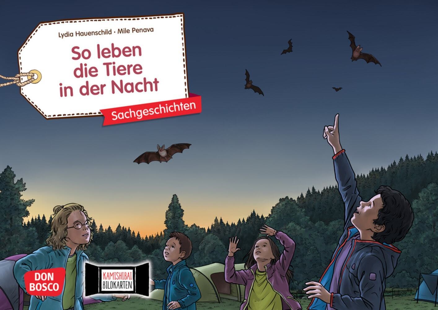 So leben die Tiere in der Nacht. Kamishibai Bildkartenset main product photo