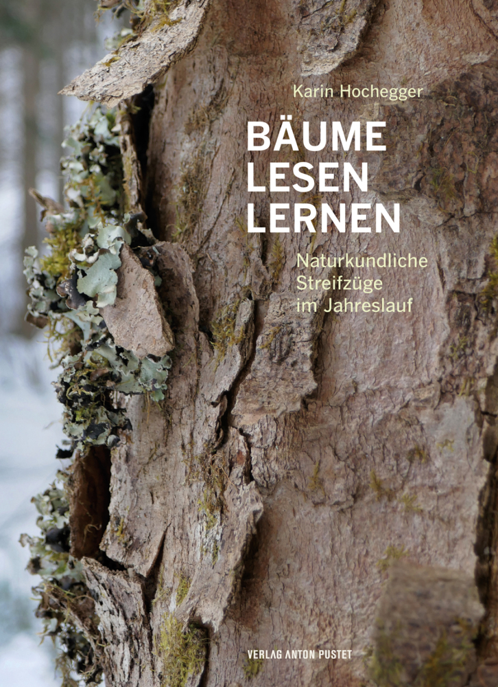 Bäume lesen lernen main product photo