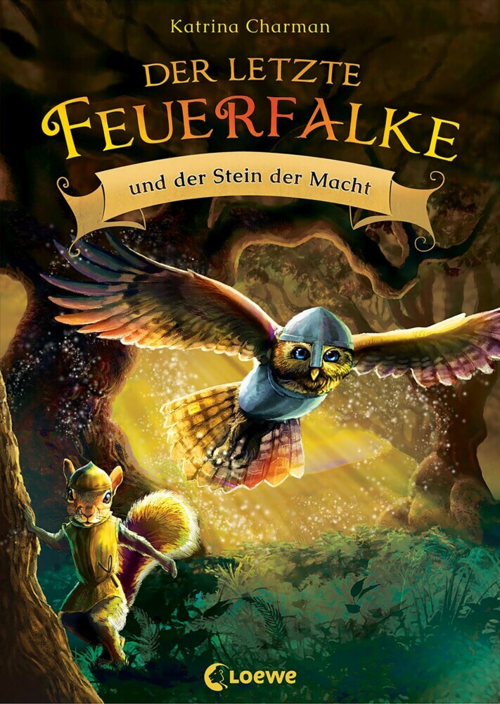 Der letzte Feuerfalke und der Stein der Macht (Band 1) main product photo