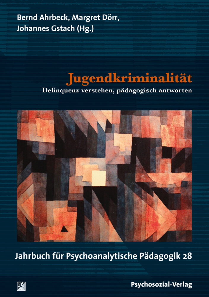 Jugendkriminalität main product photo