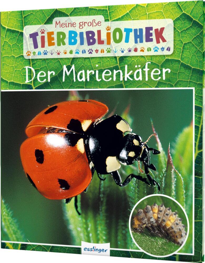 Meine große Tierbibliothek: Der Marienkäfer main product photo