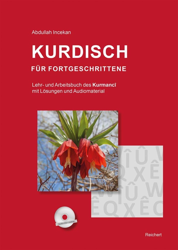Kurdisch für Fortgeschrittene main product photo