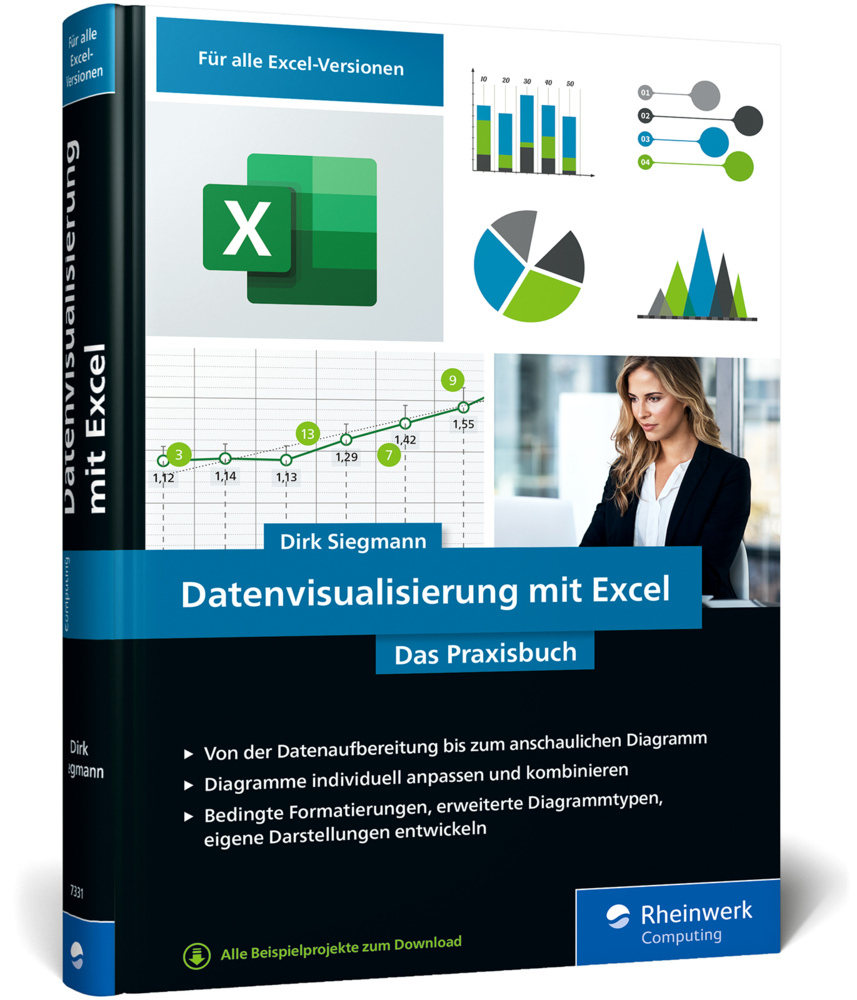 Datenvisualisierung mit Excel main product photo
