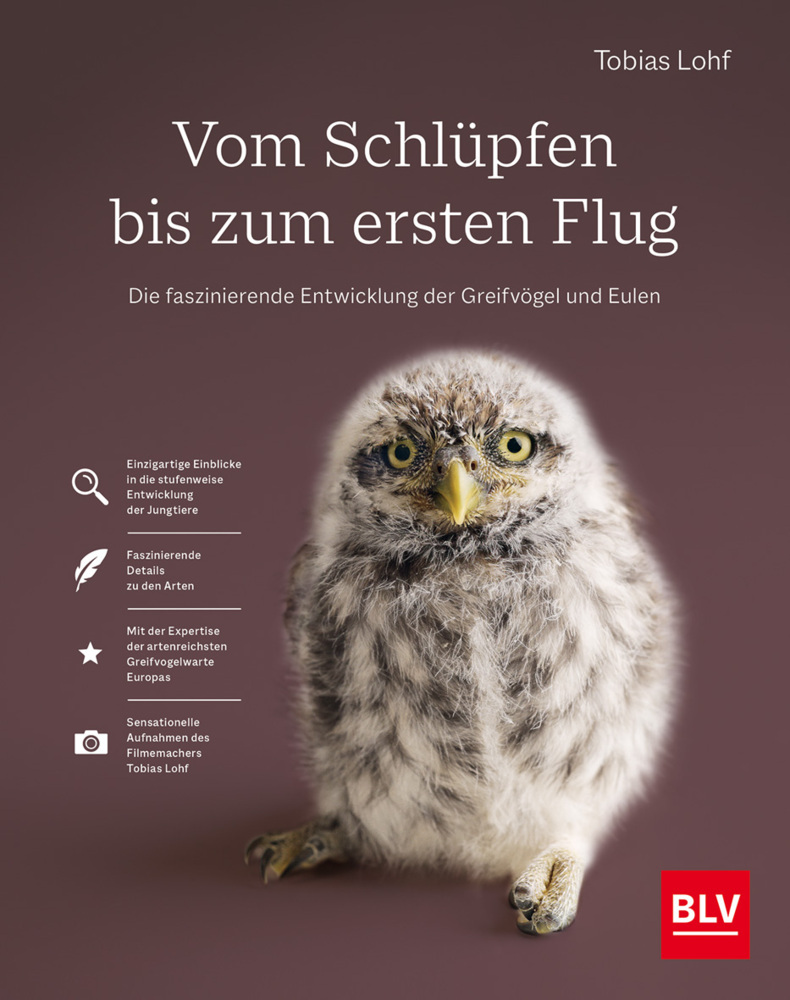 Vom Schlüpfen bis zum ersten Flug main product photo